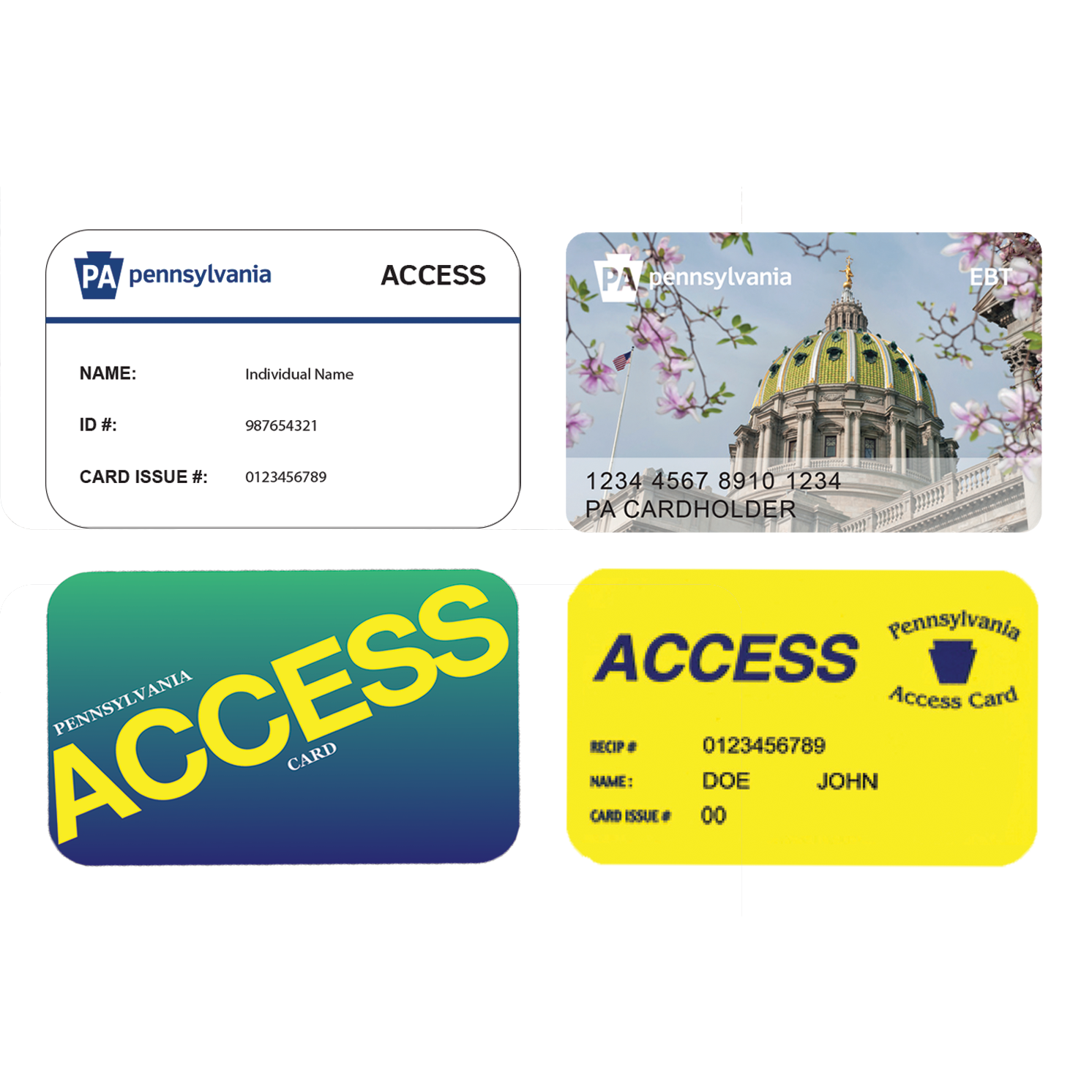 Pennsylvania Access Cards