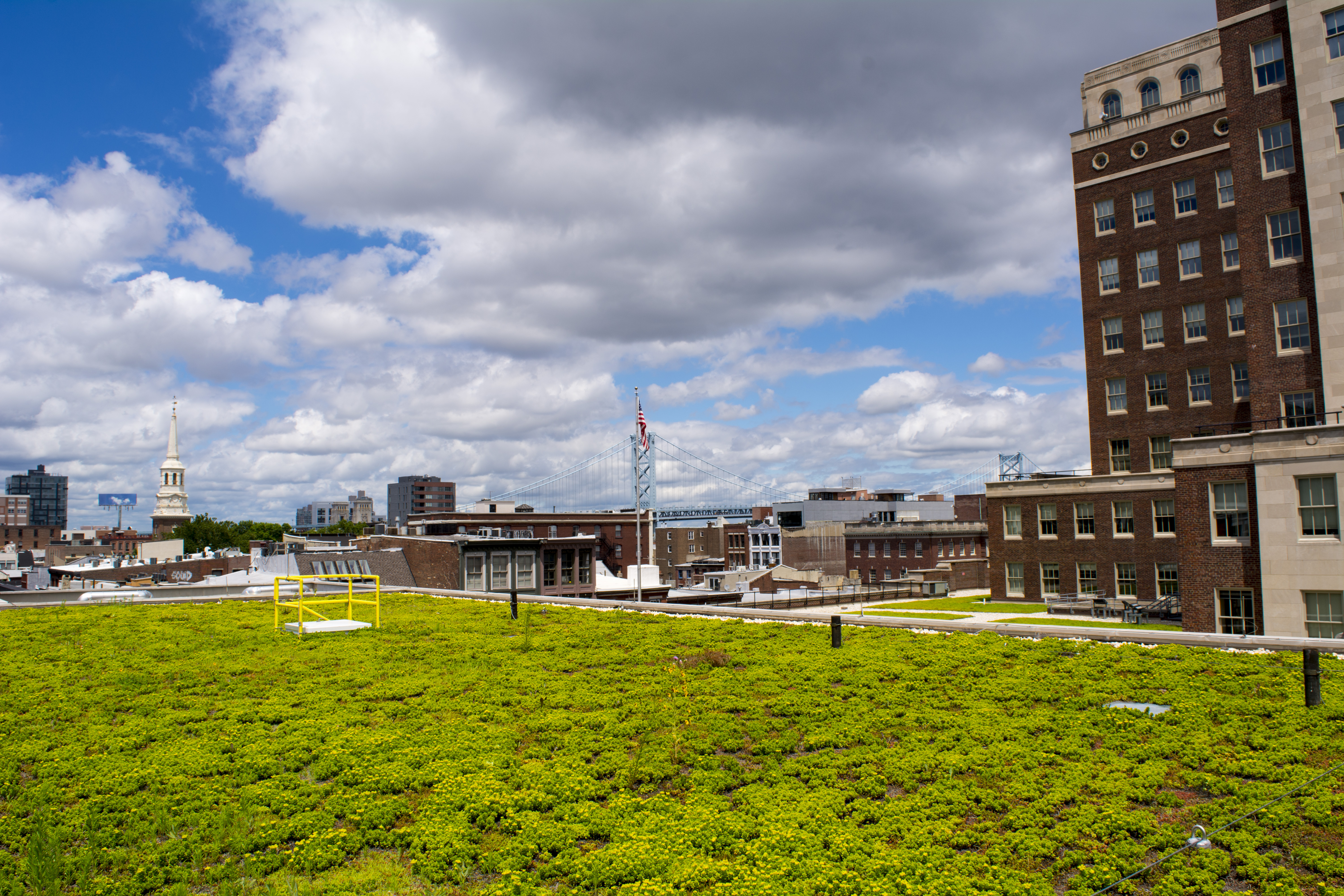 Museum Building Exterior Green Roof