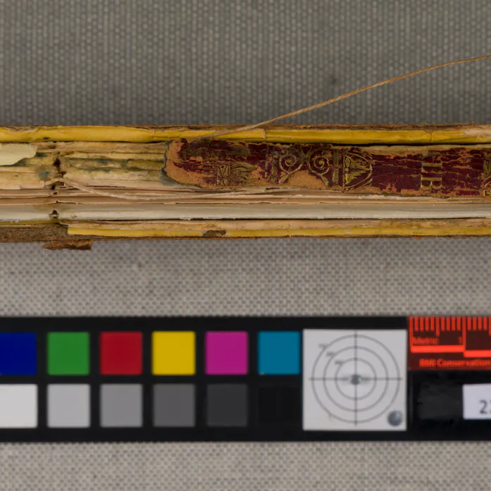 The spine on Mary Forten's friendship album before conservation.