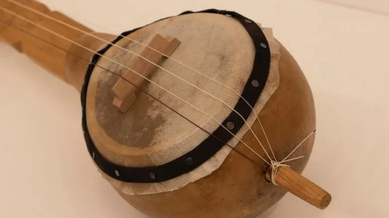 Photo of a gourd banjo