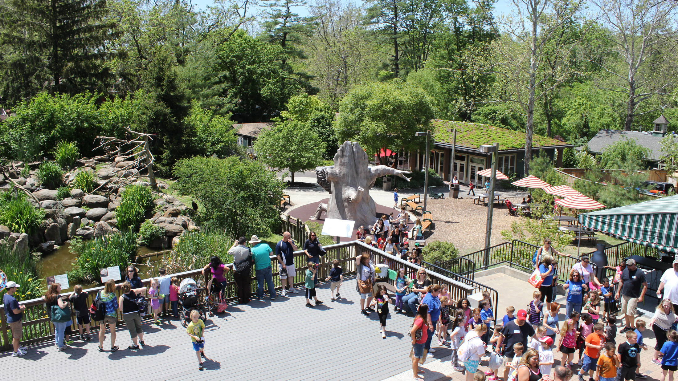 This image shows visitors viewing animals at the Elmwood Park Zoo.