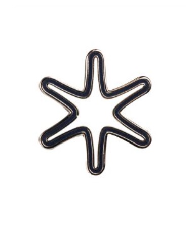 Image 111620 Shop George Washington Star Pin