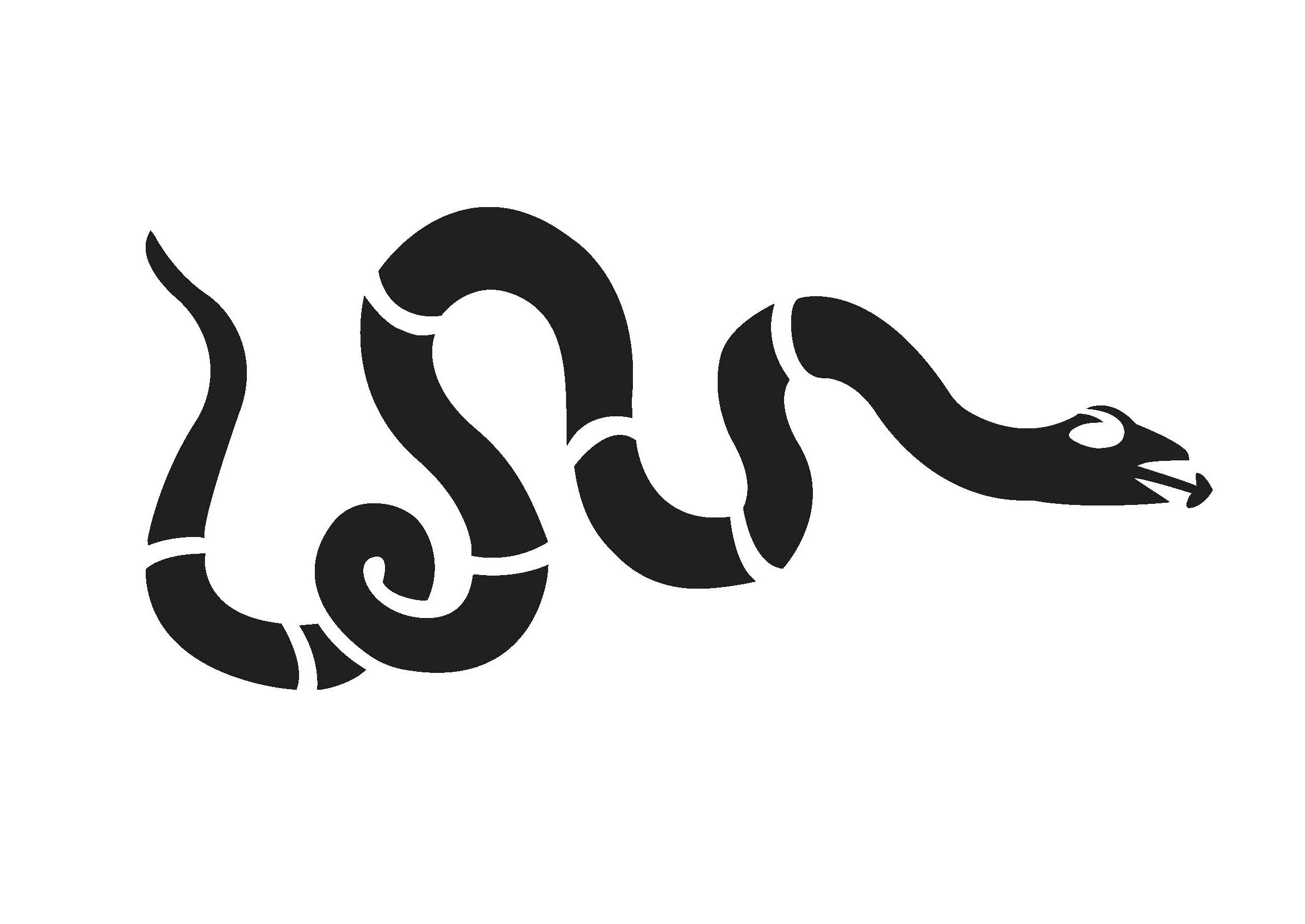 Mar Pumpkin Designs Snake